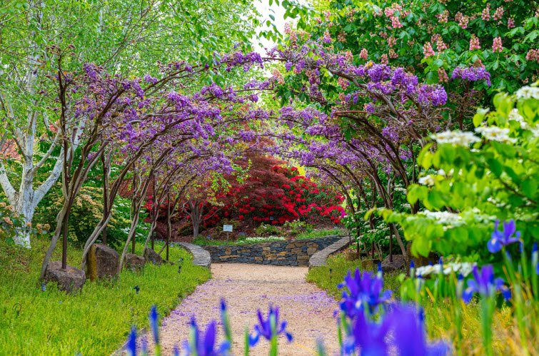 Mayfield Garden, Australia